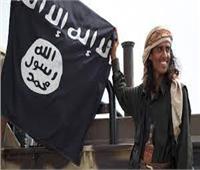 "معركة الخلاص".. الجنوب اليمني يصفي إرث إرهاب القاعدة والإخوان