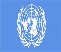 الأمم المتحدة تدعو لوقف فوري لإطلاق النار في أوكرانيا .. واستئناف المفاوضات 
