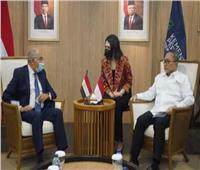 السفير المصري في جاكرتا يلتقي وزير التجارة الأندونيسي