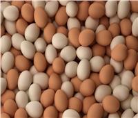 منافذ الزراعة تطرح طبق البيض بأسعار أقل من السوق 25%