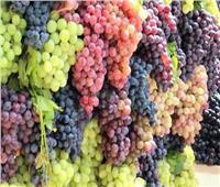 أسعار الفاكهة في سوق العبور اليوم السبت 24 سبتمبر
