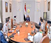 الرئيس السيسي يتابع مستجدات إستصلاح الأراضى في توشكي مع وزير الدفاع