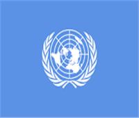 الأمم المتحدة :حث السلطات الإسرائيلية على الوقف الفوري لهدم الممتلكات الفلسطينية والتهجير القسري للفلسطينيين