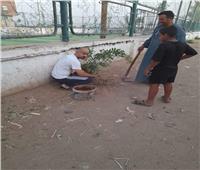  مراكز شباب المنيا تتزين بمبادرة المليون شجرة