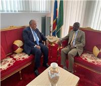 وزير الخارجية يلتقي مع نظيره الكونغولي 