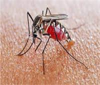 علاج الملاريا عن طريق لدغ المريض ببعوض معدل وراثيا