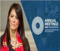  وزيرة التعاون الدولي  تبدأ زيارة لواشنطن للمشاركة فى اجتماعات صندوق النقد الدولي 