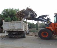 رفع 330 طن من المخلفات والقمامة بشوارع قري ومدينة الواسطى