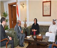 وزير قطاع الأعمال العام يبحث مع سفيرة الإمارات بالقاهرة تعزيز التعاون الاقتصادي والاستثماري