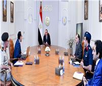 الرئيس السيسى يتابع تطورات الموقف التنفيذي للمشروع  الزراعي "مستقبل مصر"