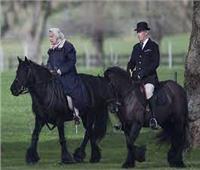 تشارلز يعتزم يبيع ثلث خيول الملكة إليزابيث 