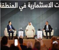 السادات: تواصل دائم بين أعضاء مجلس الأعمال المصري الإماراتي لإزالة المعوقات 
