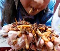 أطفال اليابان يتناولون الحشرات للترويج لأكلها والتعريف بفوائدها