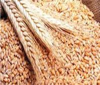 "التموين" تصادر 25 طن أرز شعير بالفيوم