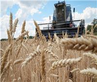 رودينكو: موسكو غير راضية عن كيفية تنفيذ الشق الروسي في صفقة الحبوب