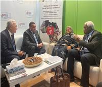 وزير التنمية المحلية يلتقى وفد منظمة المدن والحكومات المحلية الأفريقية علي هامش قمة المناخ بشرم الشيخ 