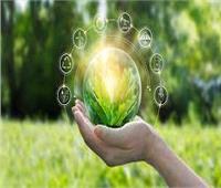 «الاقتصاد الأخضر».. تعرف على أهدافه وأهم مشروعاته!