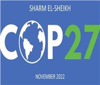 قمة المناخ 2022| القاهرة تتخطى الدور الإقليمي للدولي 