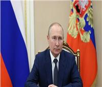بوتين: استعداد روسيا لتوفير المنتجات الزراعية والأسمدة إلى أفريقيا 