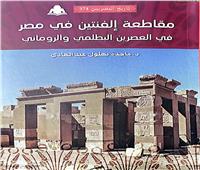 «مقاطعة إلفنتين في مصر».. أحدث إصدارات هيئة الكتاب 