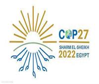"كوب27 و28".. فرصة لتسريع الجهود العالمية لتعزيز الاستدامة