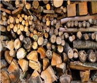 «اليونان» تحظر تصدير الأخشاب