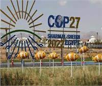 "الوطنية للإعلام": نجاح COP 27 يؤكد على دور مصر المحوري إقليميا ودوليا