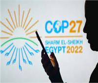 منصة أسوان للتغيرات المناخية تنظم لقاء توعويا حول نتائج "COP 27"