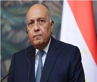 «شكري» يبحث آلية التعاون بين مصر والأردن والعراق 