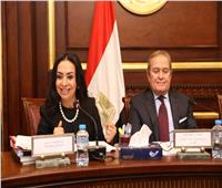 مايا مرسي تستعرض جهود مصر في مجال مواجهة العنف ضد المرأة    