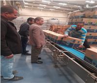 «القوى العاملة»: زيارات ميدانية للشركات لتسوية مستحقات العمال بالوادى الجديد