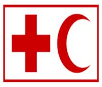 الصليب الأحمر يأمل بمزيد من الزيارات بعد لقائه أسرى حرب روس وأوكرانيين
