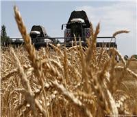 روسيا تكشف حجم محصولها من الحبوب لهذا العام
