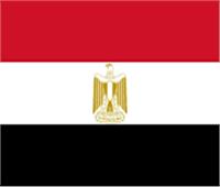 سفارة مصر في هراري تنظم إجتماعاً افتراضياً بين رجال الأعمال في مصر وزيمبابوي 