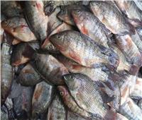 تعرًف علي أسعار الأسماك في سوق العبور اليوم السبت