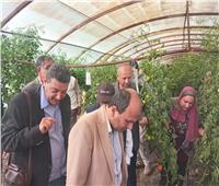  البرنامج الوطني لإنتاج التقاوى ينظم يوم حقلي للهجن الجديدة من الطماطم
