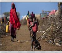 منظمة الفاو تحذر من مجاعة في الصومال خلال العام المقبل