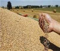مسئولة روسية: صفقة الحبوب تعمل حاليا لصالح الاتحاد الأوروبي