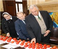  البرنامج الوطنى لإنتاج التقاوي يستعرض هجن الطماطم المحلية 