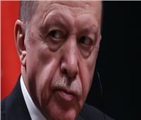 أردوغان: تركيا تقترب خطوة تلو أخرى من هدفها المنشود