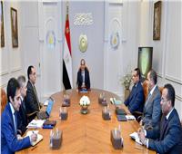  الرئيس السيسي يبحث جهود توطين صناعة مراكب الصيد واليخوت في مصر"مع رئيس الوزراء