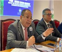 وزير المالية : الأزمات العالمية أثبتت صحة الرؤية المصرية فى تعظيم القدرات الإنتاجية  