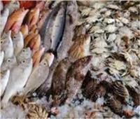 ضبط 4 طن "سمك مجمد" فاسدة داخل ثلاجة حفظ السلع الغذائية بالجيزة