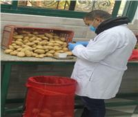 "الزراعة" تستعرض تقريرا حول أعمال مشروع مكافحة العفن البني في البطاطس  