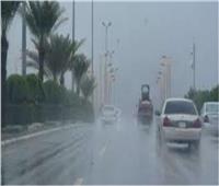 «الأرصاد»:أمطار متفاوتة الشدة على أغلب مناطق الجمهورية اليوم| فيديو