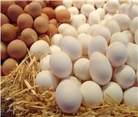 استقرار أسعار البيض اليوم الجمعة 