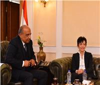 وزير قطاع الأعمال: شراكة مصرية سويسرية في مجال إعادة تدوير الإطارات