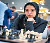 بطولة أفريقيا الفردية للشطرنج للرجال والسيدات  بالقاهرة مؤهلة لكأس العالم المقبل