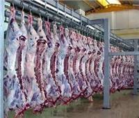 إستقرار في  أسعار اللحوم الحمراء بالأسواق