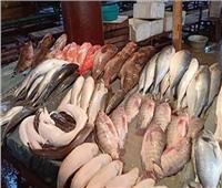 انخفاض أسعار الأسماك اليوم الأحد بسوق العبور 